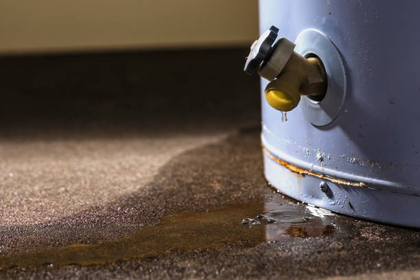 Best Basement water damage restoration  in Round Lake Park, IL