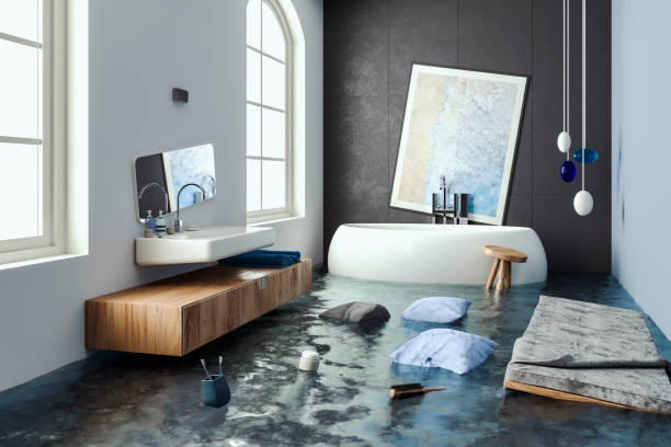 Best Mold removal after water damage  in Round Lake Park, IL