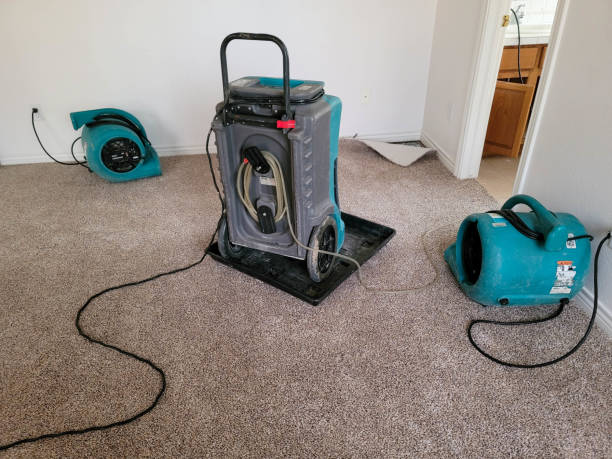 Best Flooded house restoration  in Round Lake Park, IL
