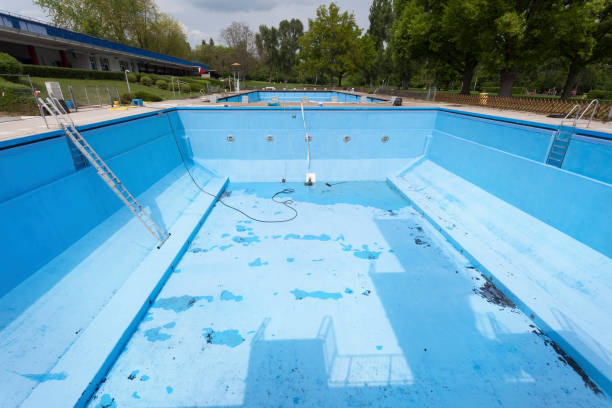Best Carpet water damage restoration  in Round Lake Park, IL