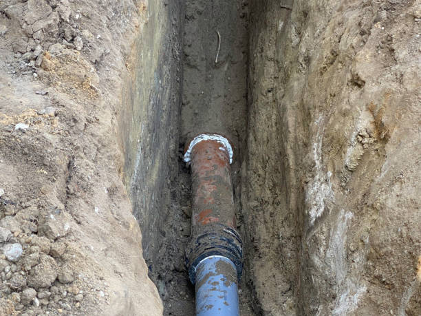 Best Local water damage restoration  in Round Lake Park, IL