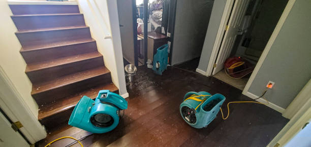 Best Water damage cleanup near me  in Round Lake Park, IL