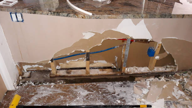Best 24-hour water damage restoration  in Round Lake Park, IL