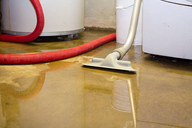 Best Emergency water damage restoration  in Round Lake Park, IL