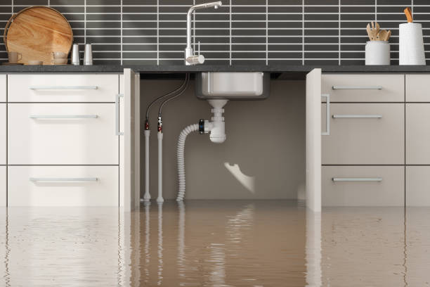 Best Residential water damage restoration  in Round Lake Park, IL