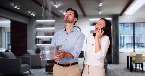 Best Water damage restoration near me  in Round Lake Park, IL