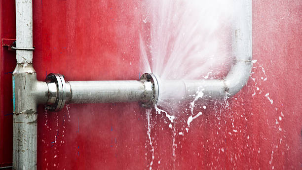 Water damage restoration mold remediation in IL